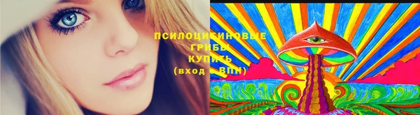 ешки Осинники