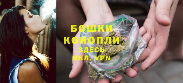 ешки Осинники
