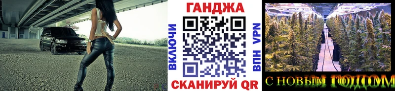 Купить закладки  Кинель  Шишки марихуана конопля 